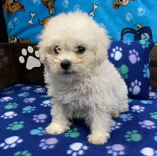 Envíos a Quito, Guayaquil, Machala, Salinas y todo Ecuador