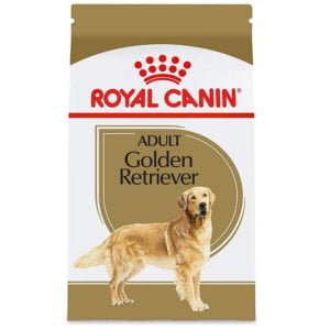 Royal Canin Golden Retriever Adult