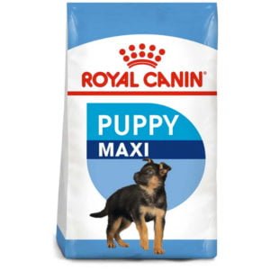 Royal Canin Maxi Puppy