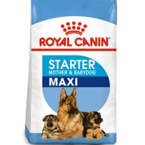 Royal Canin Maxi Starter