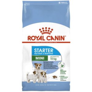 Royal Canin Mini Starter