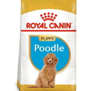 Royal Canin Poodle Puppy