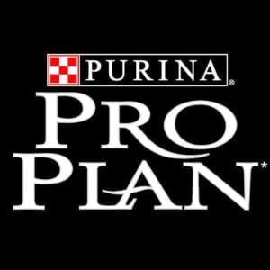 Pro Plan (perros)