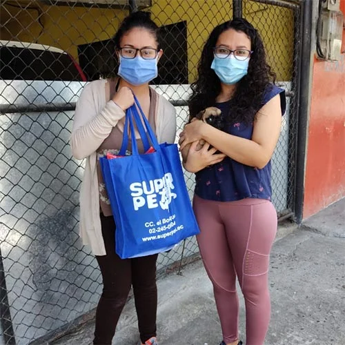 Perros en venta Ecuador