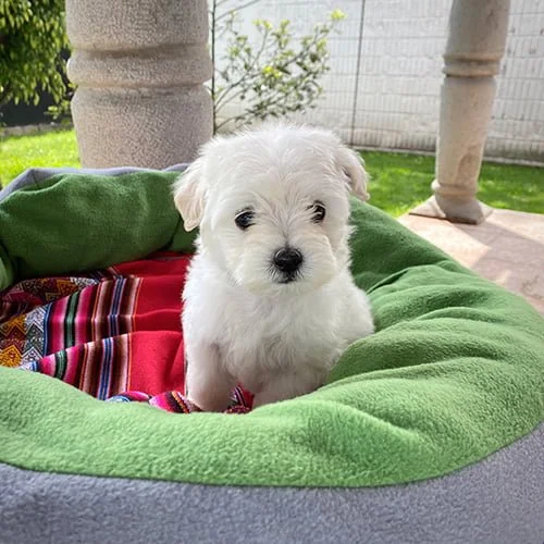 Descuentos si su compra es en efectivo