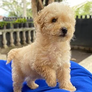 Descuentos si su compra es en efectivo