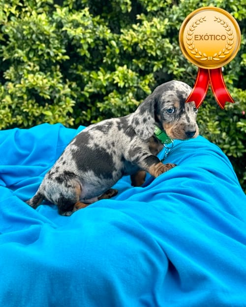 DJI_20260108_140154_859