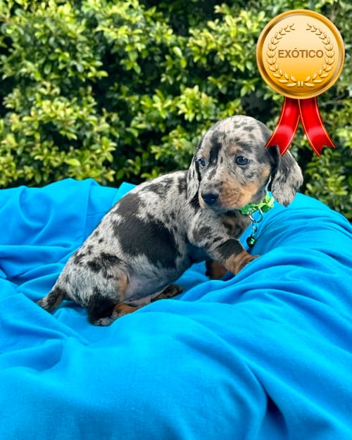 DJI_20260108_140208_303