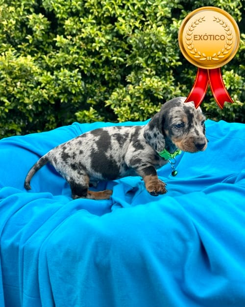 DJI_20260108_140307_824