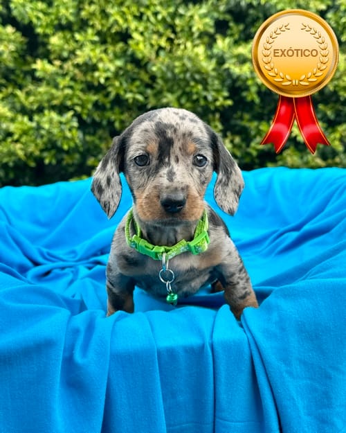 DJI_20260108_140341_483