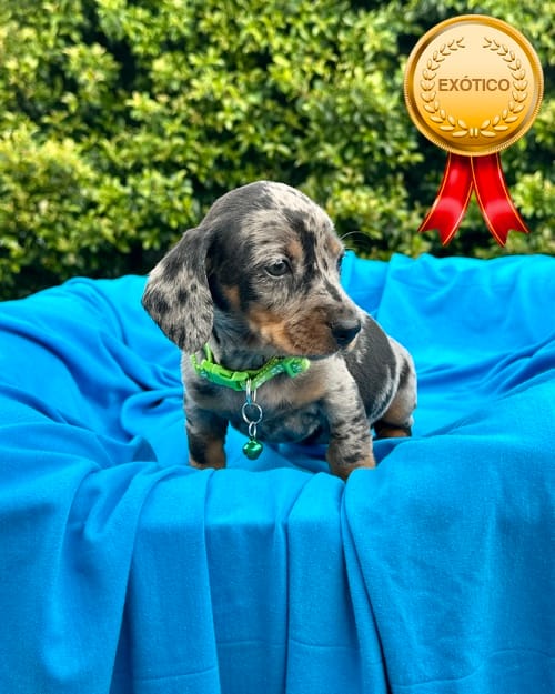 DJI_20260108_140350_768