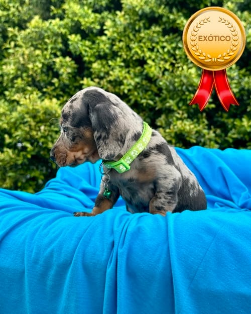 DJI_20260108_140452_074