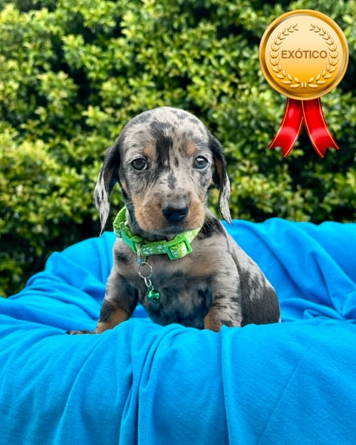 DJI_20260108_140500_578