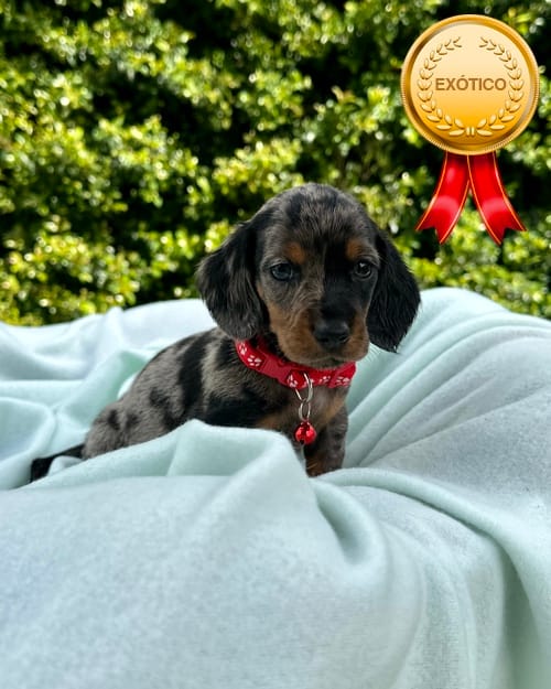 DJI_20260108_141513_481