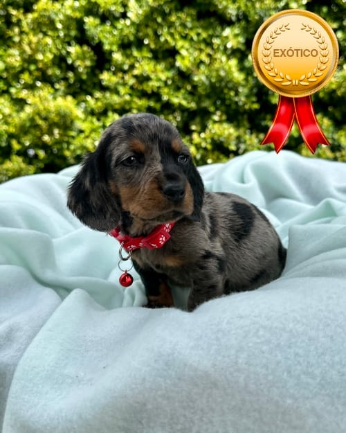 DJI_20260108_141524_177