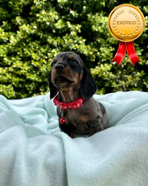 DJI_20260108_141551_341