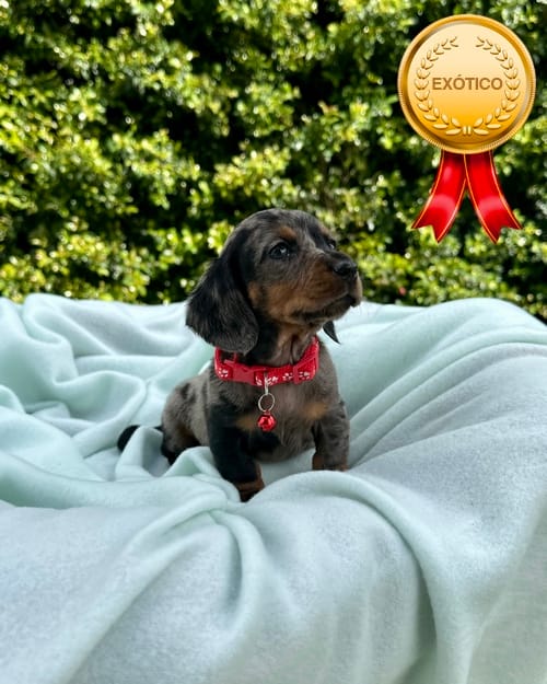 DJI_20260108_141613_916