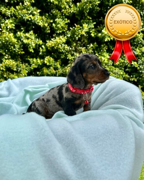 DJI_20260108_141620_967