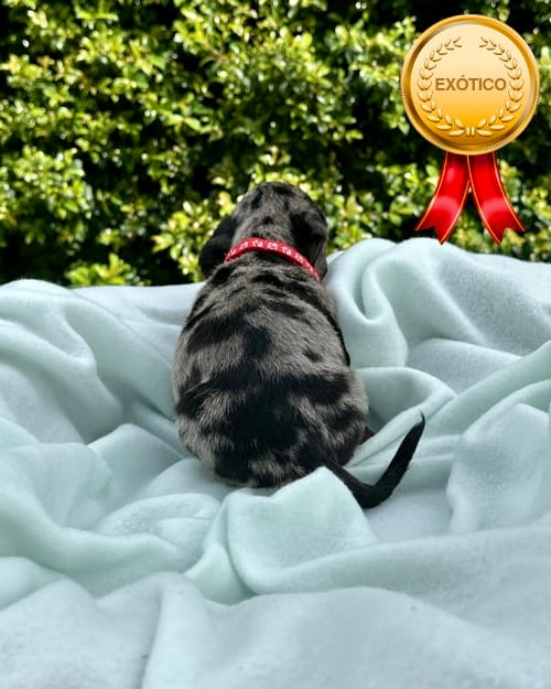 DJI_20260108_141638_546