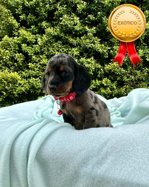 DJI_20260108_141711_592