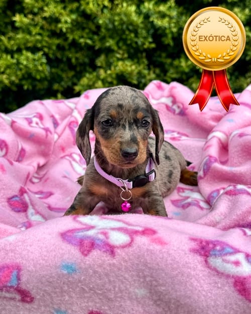 DJI_20260108_142522_468