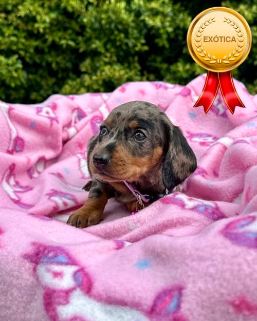 DJI_20260108_142555_319