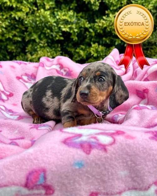 DJI_20260108_142600_555