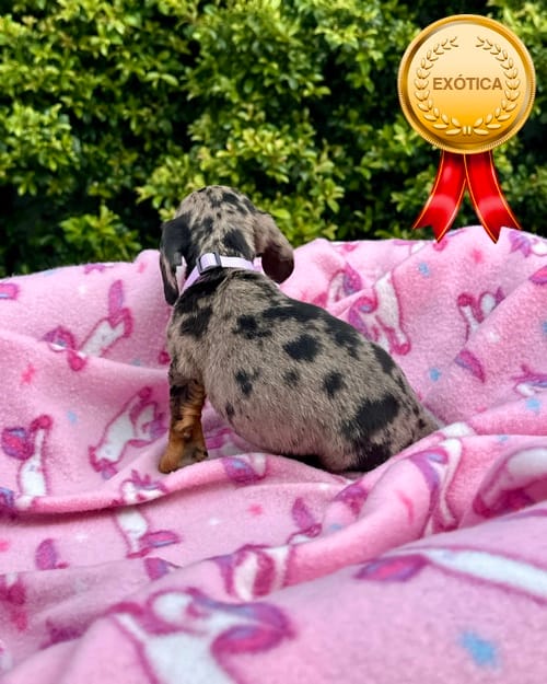 DJI_20260108_142641_864