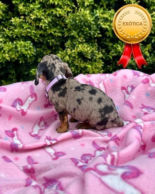 DJI_20260108_142645_179