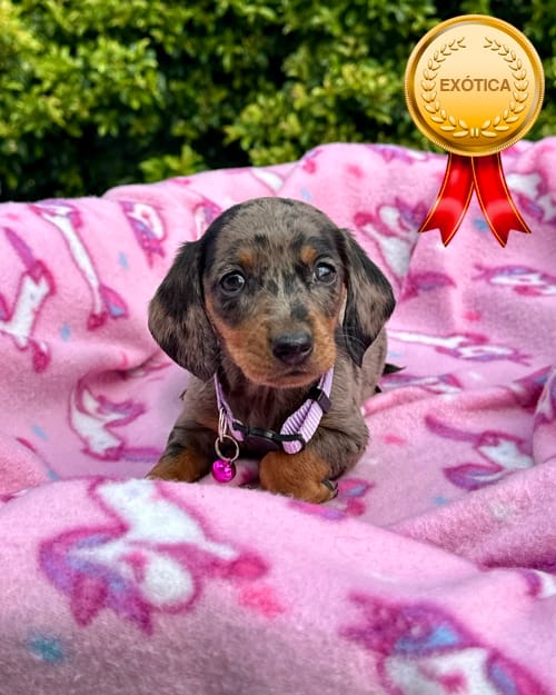 DJI_20260108_142755_034