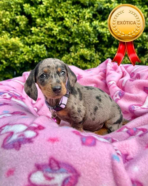 DJI_20260108_142832_716