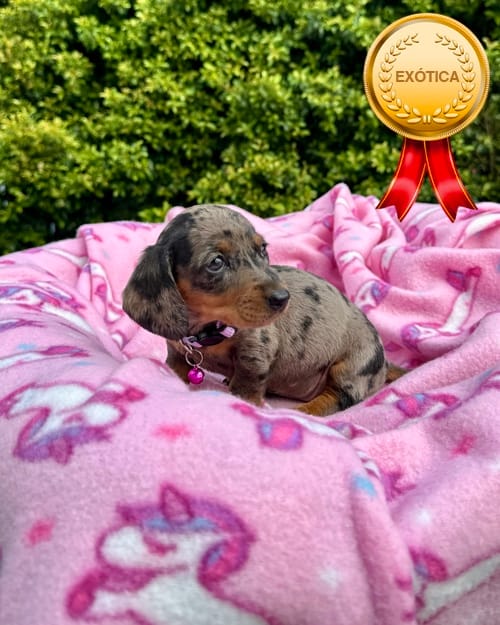 DJI_20260108_142843_918