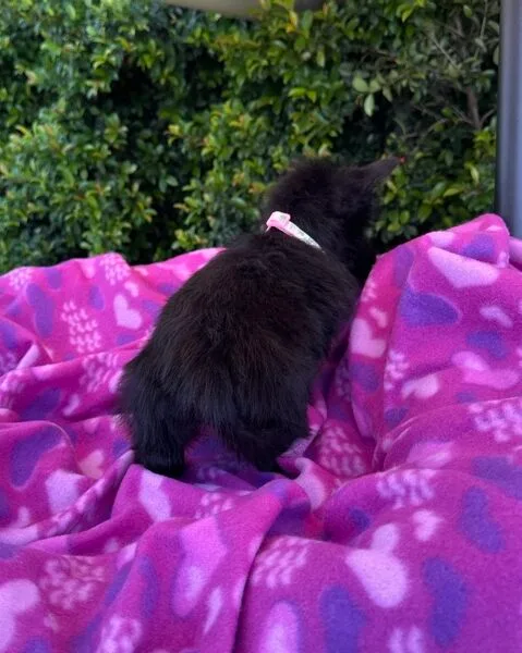 DJI_20260209_120811_169