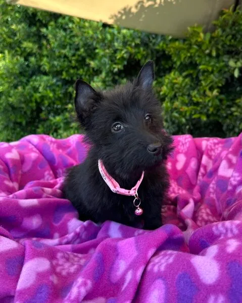 DJI_20260209_120818_279