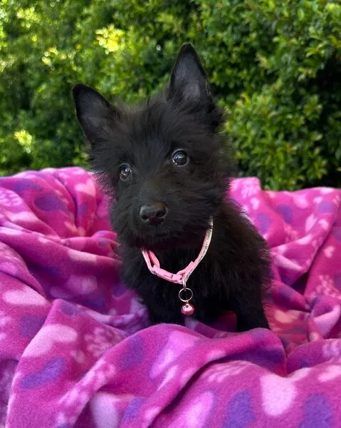 DJI_20260209_120824_487