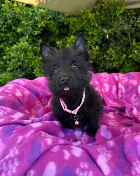 DJI_20260209_120836_762