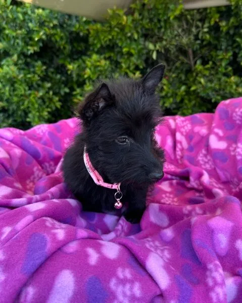 DJI_20260209_120839_129