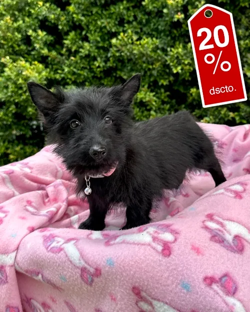 DJI_20260227_121505_314