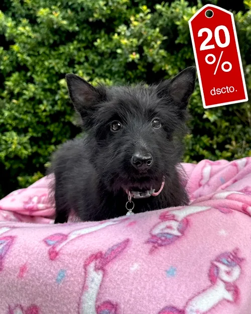 DJI_20260227_121538_163