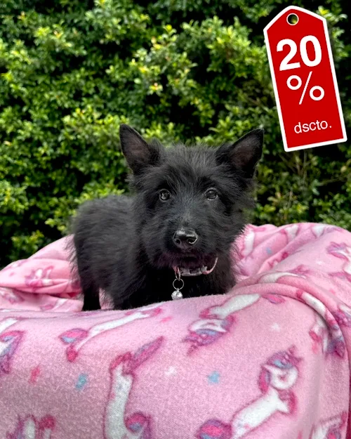 DJI_20260227_121542_066