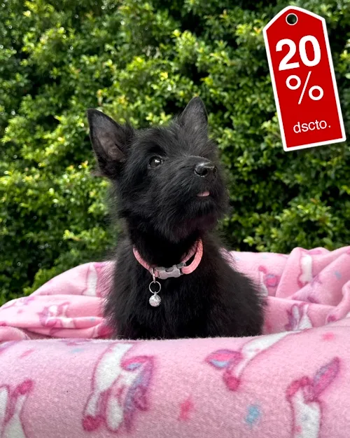 DJI_20260227_121645_605