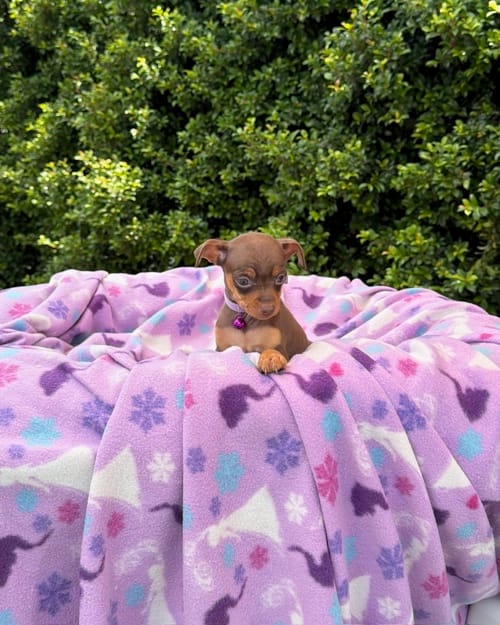 DJI_20260301_120847_140