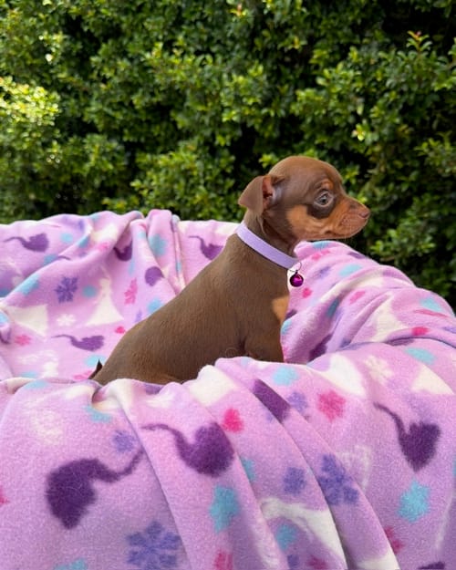 DJI_20260301_120918_582