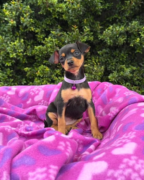 DJI_20260303_115812_370