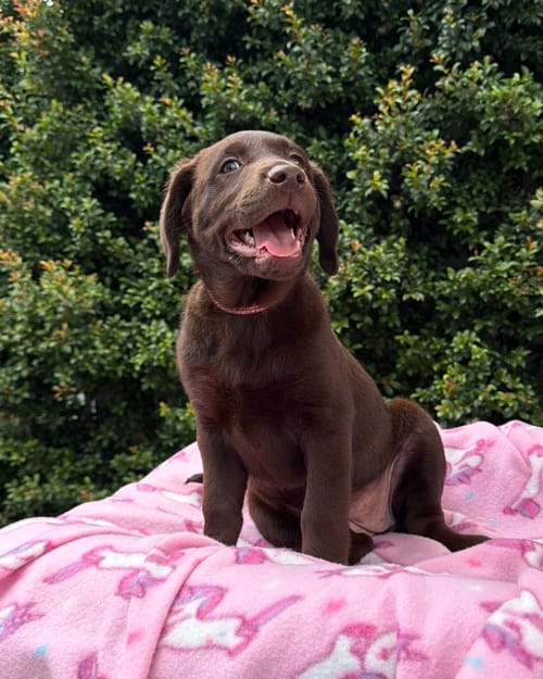 DJI_20260329_124949_002