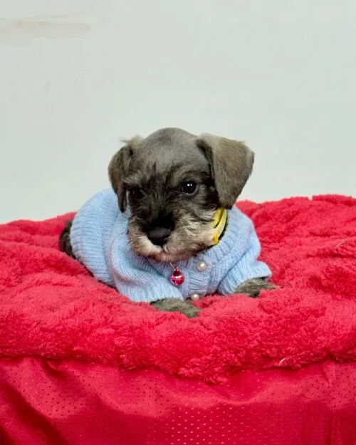 Generated Image March 27, 2026 - 9_49PM