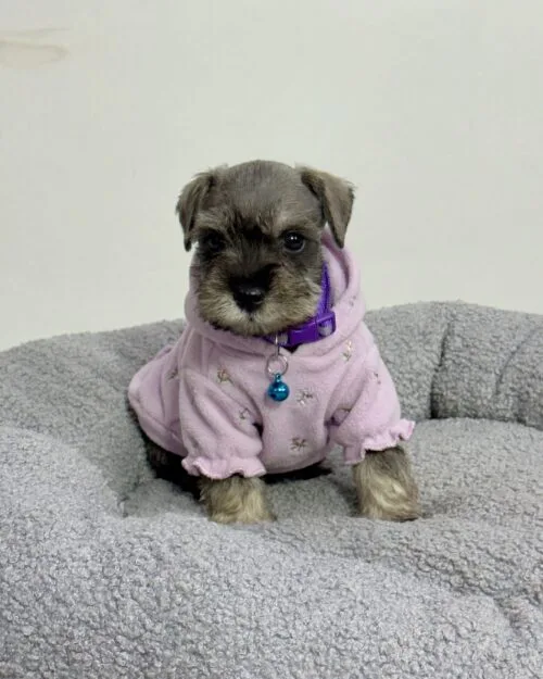 Generated Image March 27, 2026 - 9_55PM