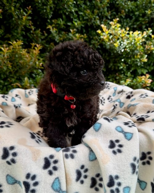 DJI_20260408_122327_542