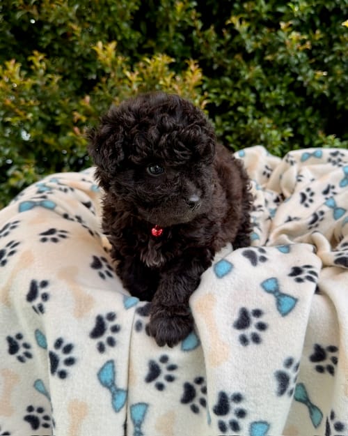 DJI_20260408_122358_460