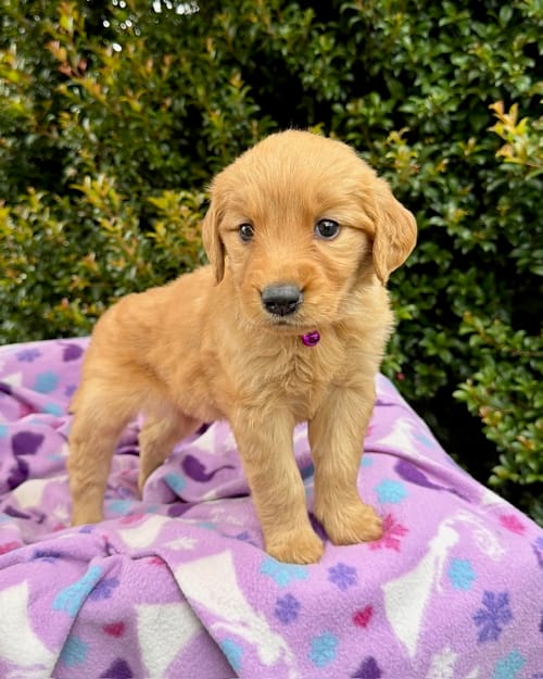 DJI_20260408_123314_577